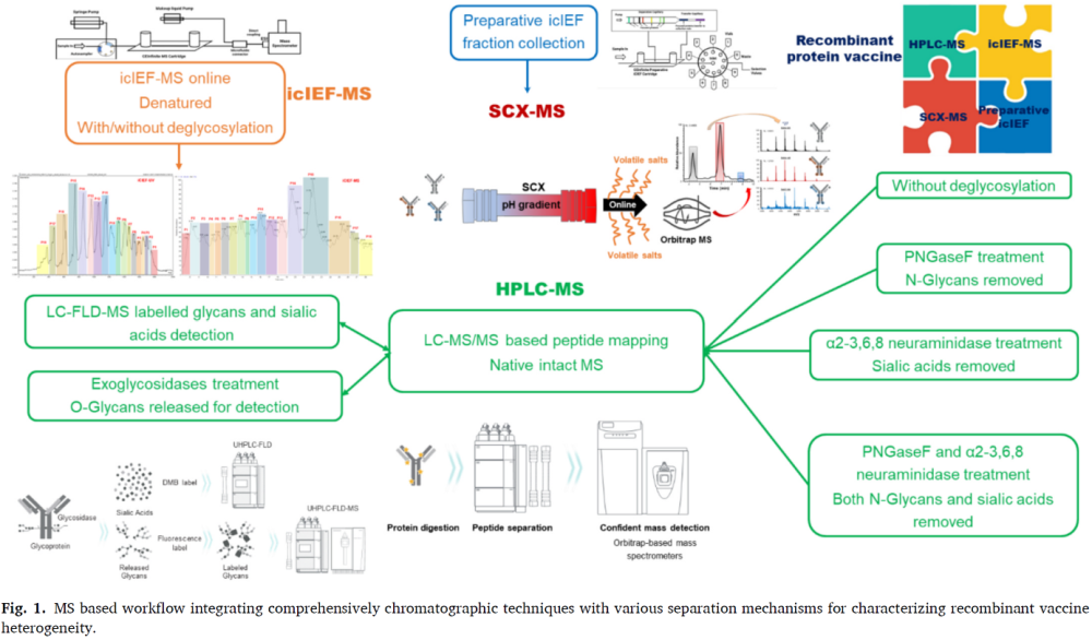 MS study on SARS-CoV-2-recombinant vaccine with comprehensive separation techniques to characterize complex heterogeneity